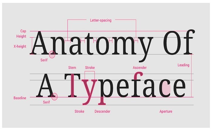 The Psychology of Fonts