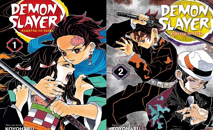demon slayer kimetsu no yaiba manga